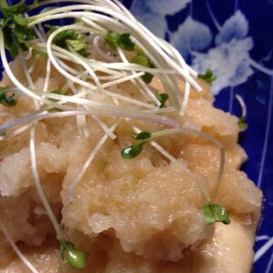 塩レモンで鶏胸肉のみぞれ煮